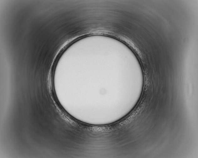 X0000115111032200911241323