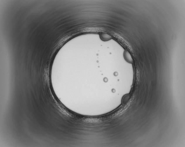 X0000115111033200911241323