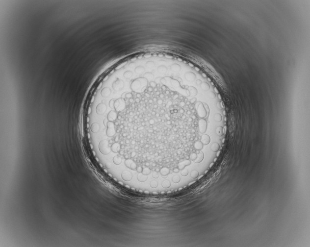 X0000115111036200911241323
