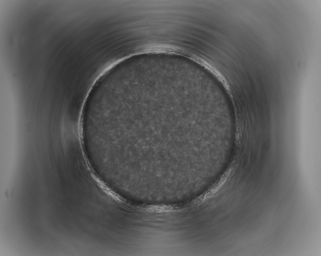 X0000115111037200911241323
