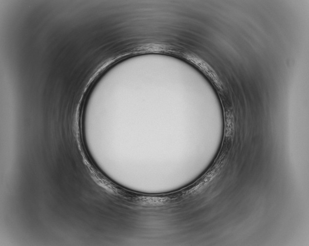 X0000115111039200911241323