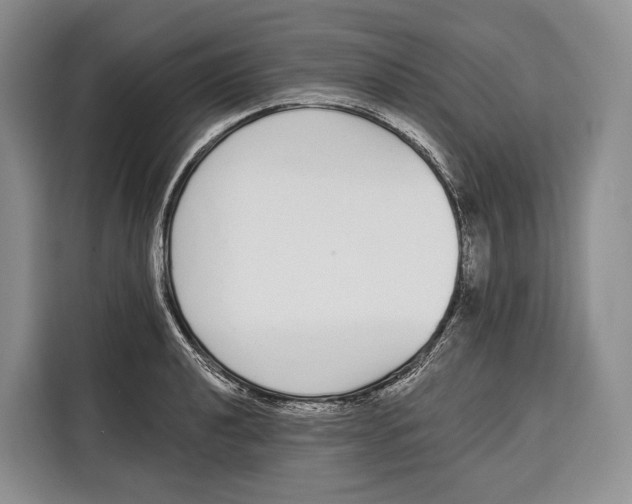 X0000115111040200911241323