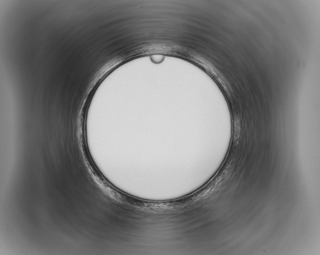 X0000115111042200911241323