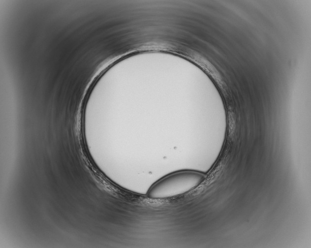 X0000115111044200911241323