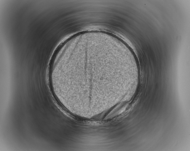 X0000115111045200911241323