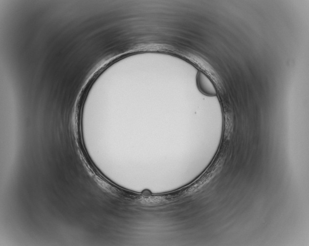 X0000115111046200911241323