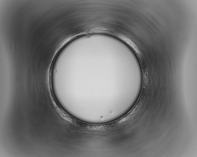 X0000115111047200911241323