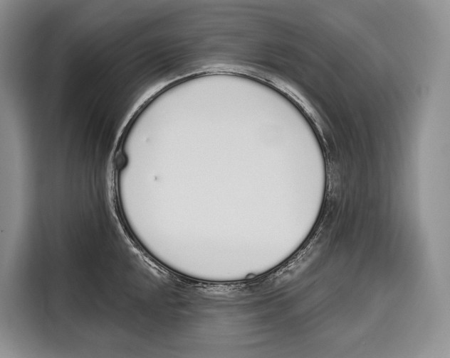 X0000115111048200911241323