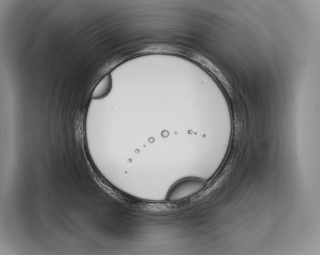 X0000115111049200911241323
