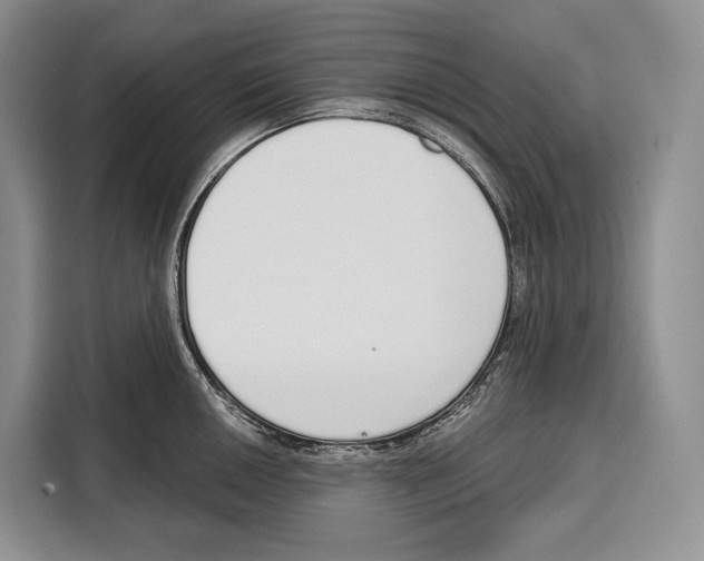 X0000115111050200911241323