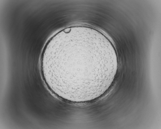 X0000115111053200911241323