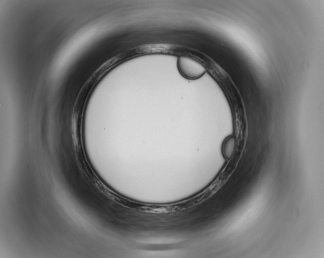 X0000115111054200911241323