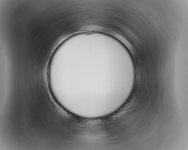 X0000115111055200911241323