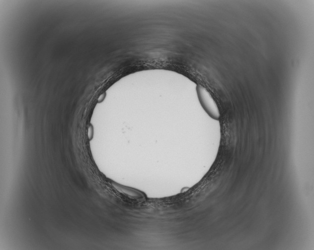 X0000115111057200911241323