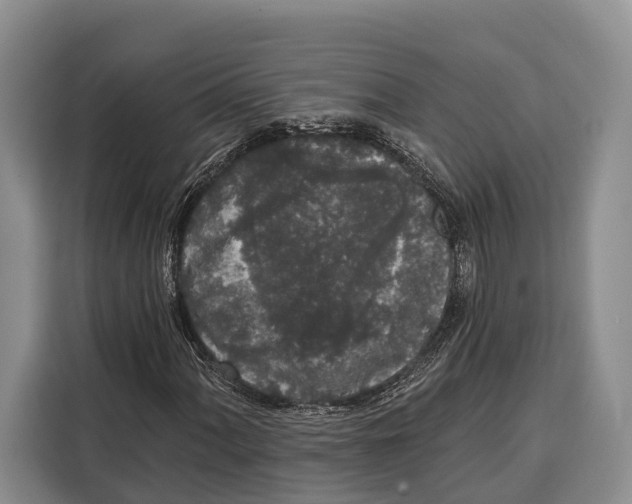 X0000115111060200911241323