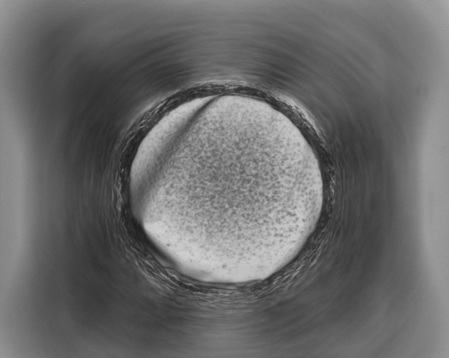 X0000115111064200911241323