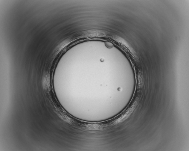 X0000115111065200911241322