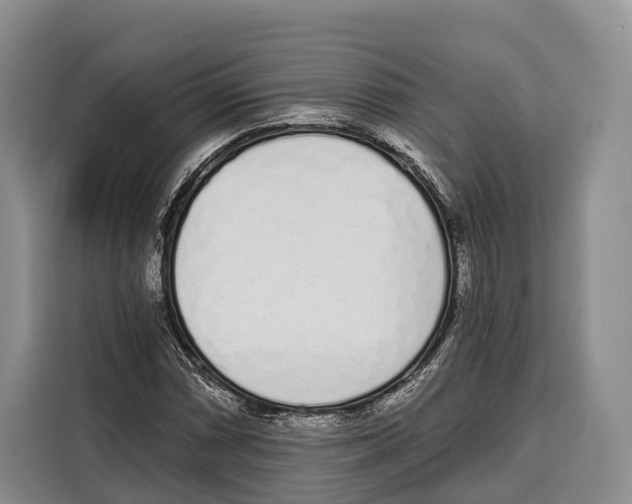X0000115111066200911241322