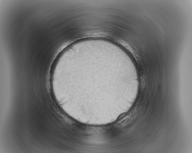 X0000115111071200911241322