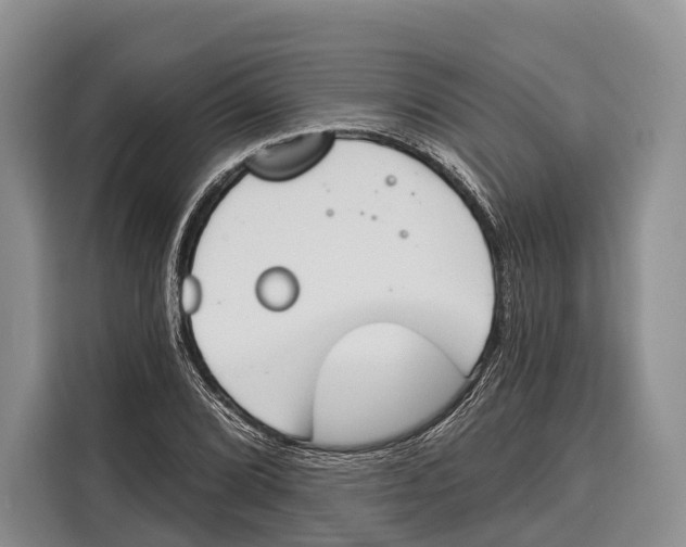 X0000115111072200911241322