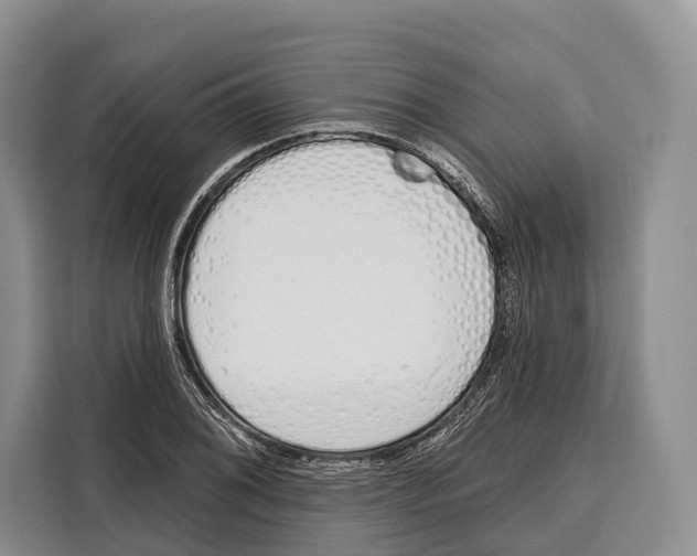 X0000115111076200911241322