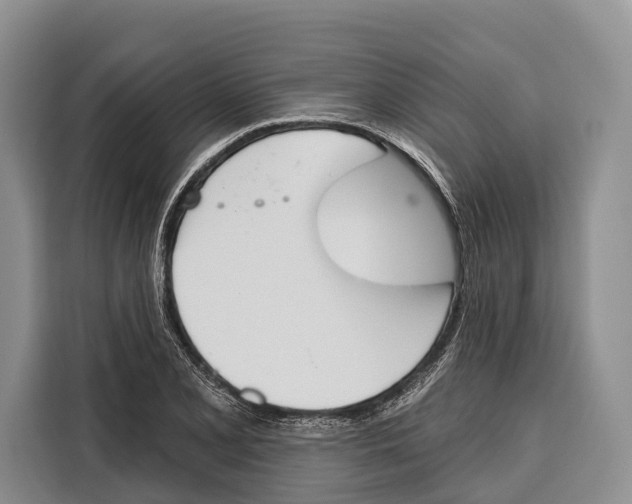 X0000115111077200911241322