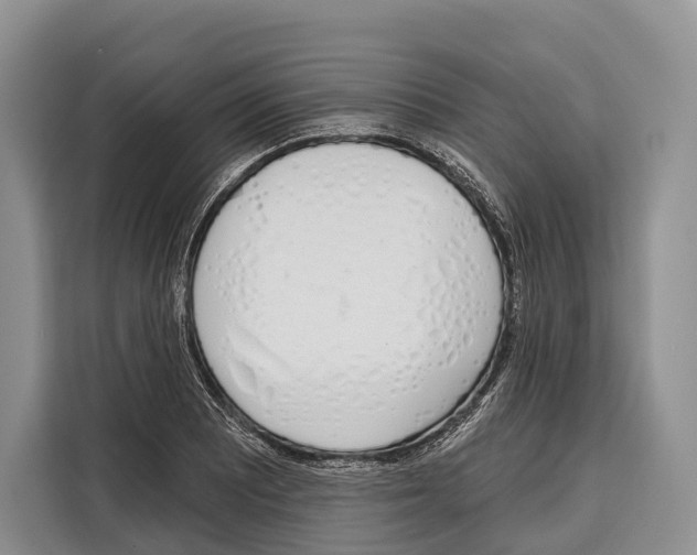 X0000115111081200911241322