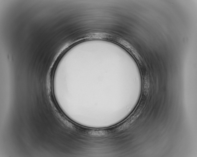 X0000115111083200911241322