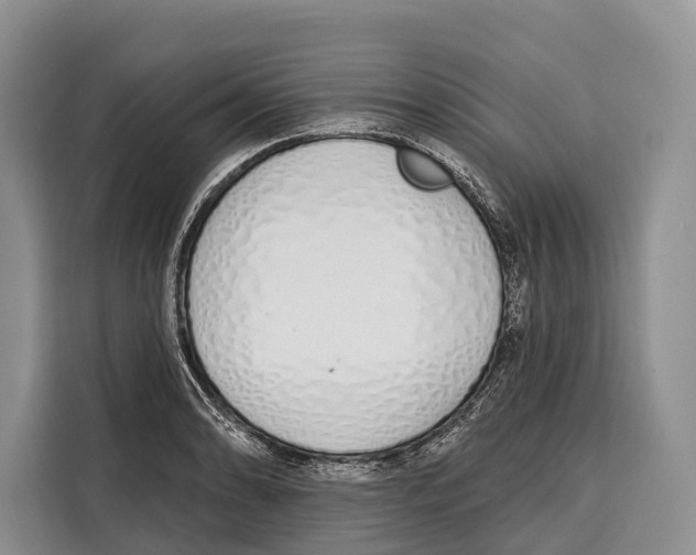 X0000115111086200911241322