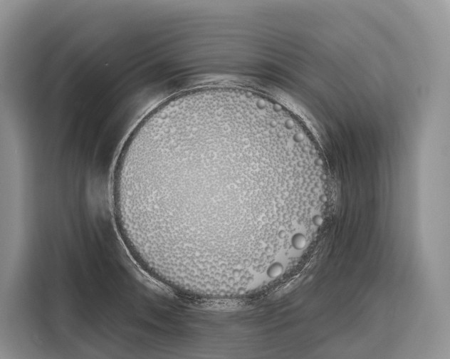 X0000115111090200911241322