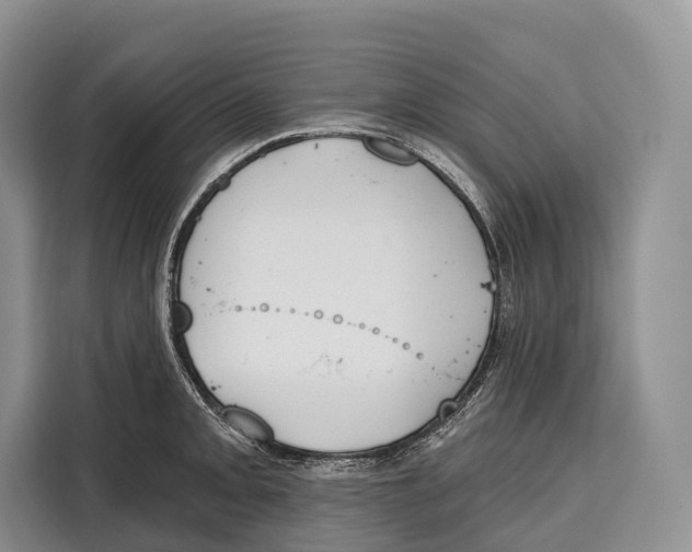 X0000115111093200911241322