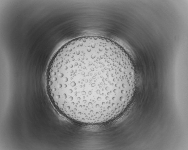 X0000115111094200911241322