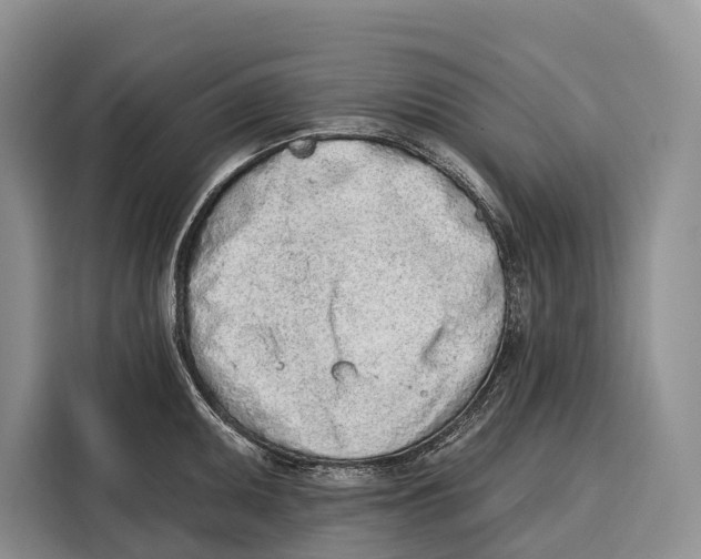 X0000115111095200911241322