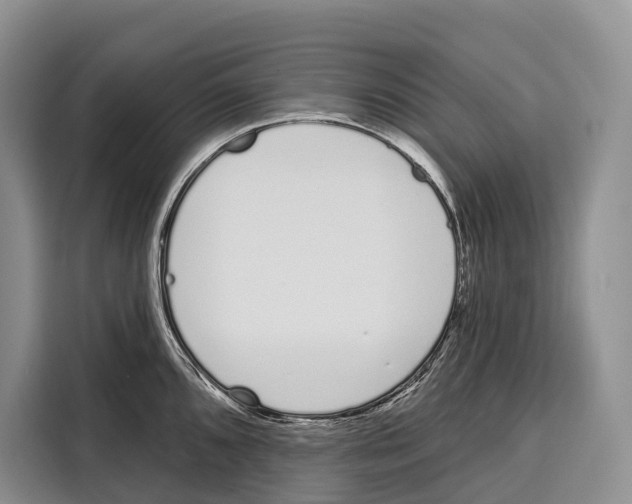 X0000115111096200911241322