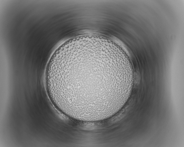 X0000115111098200911241322