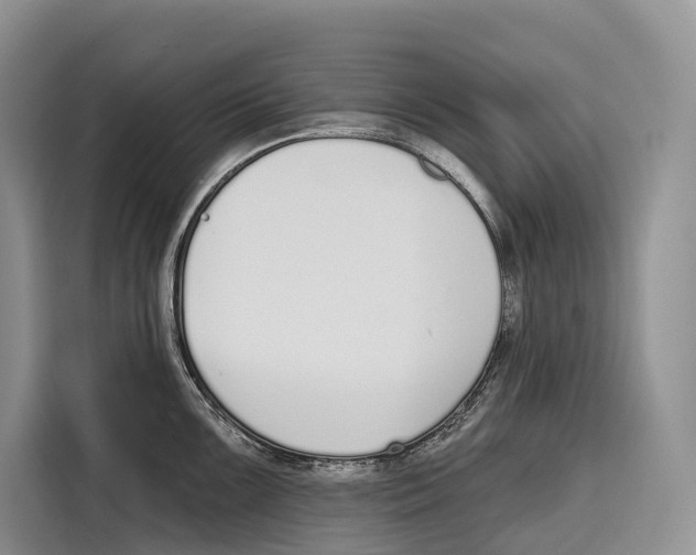 X0000115111099200911241322