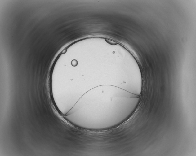 X0000115111100200911241322