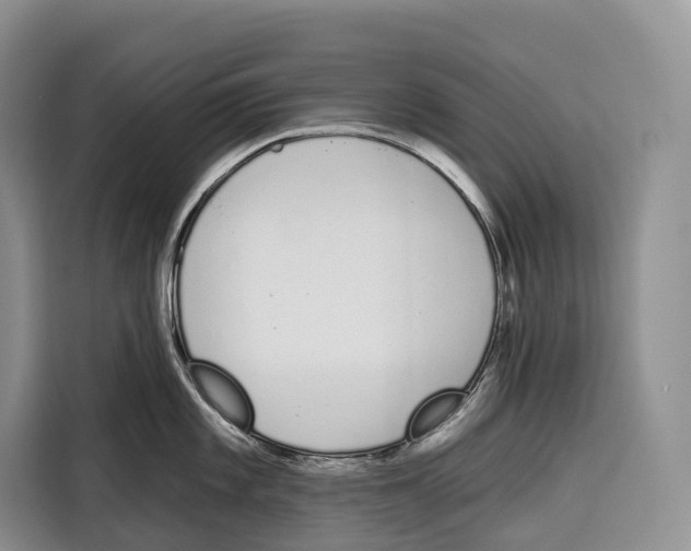 X0000115111101200911241322
