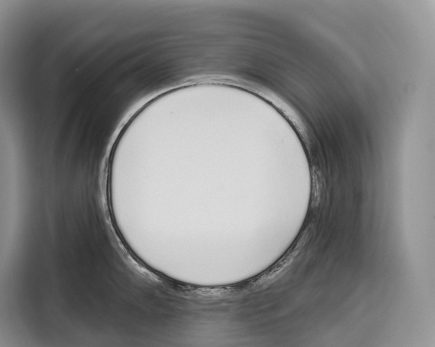 X0000115111102200911241322