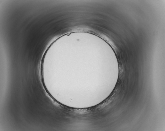 X0000115111103200911241322