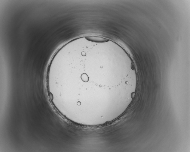 X0000115111104200911241322