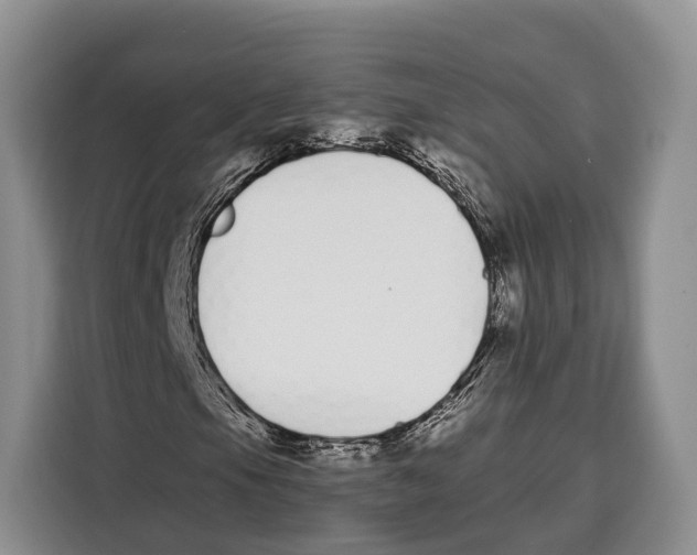 X0000115111105200911241321