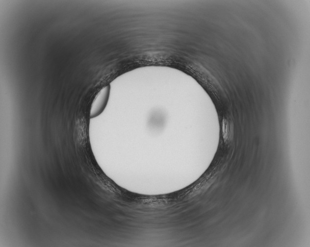 X0000115111107200911241321