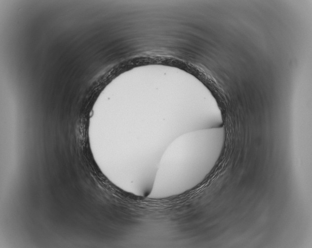 X0000115111110200911241321