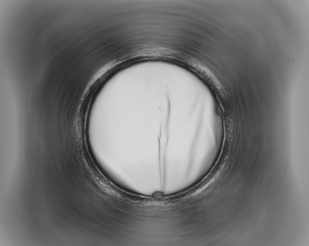 X0000115111114200911241321