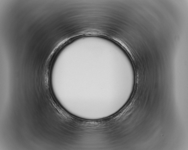 X0000115111115200911241321