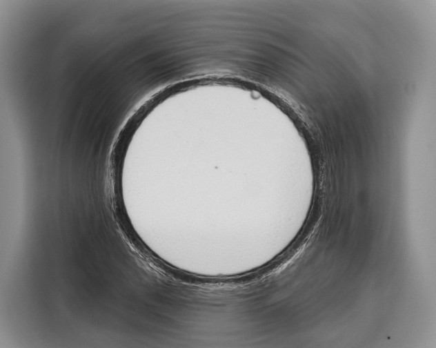 X0000115111118200911241322