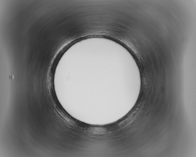 X0000115111119200911241322