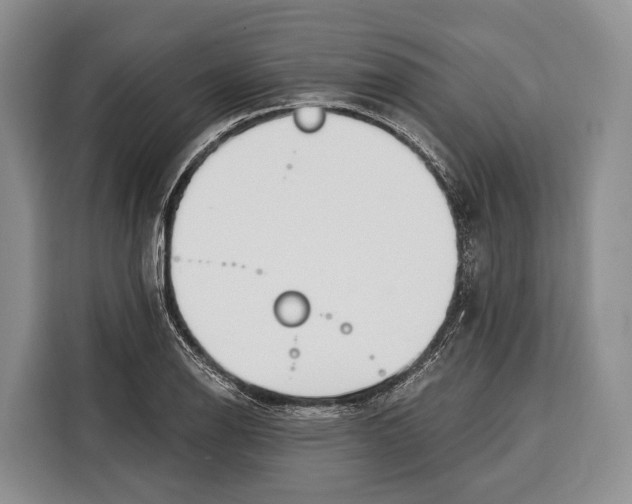 X0000115111126200911241322