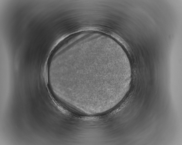 X0000115111127200911241322